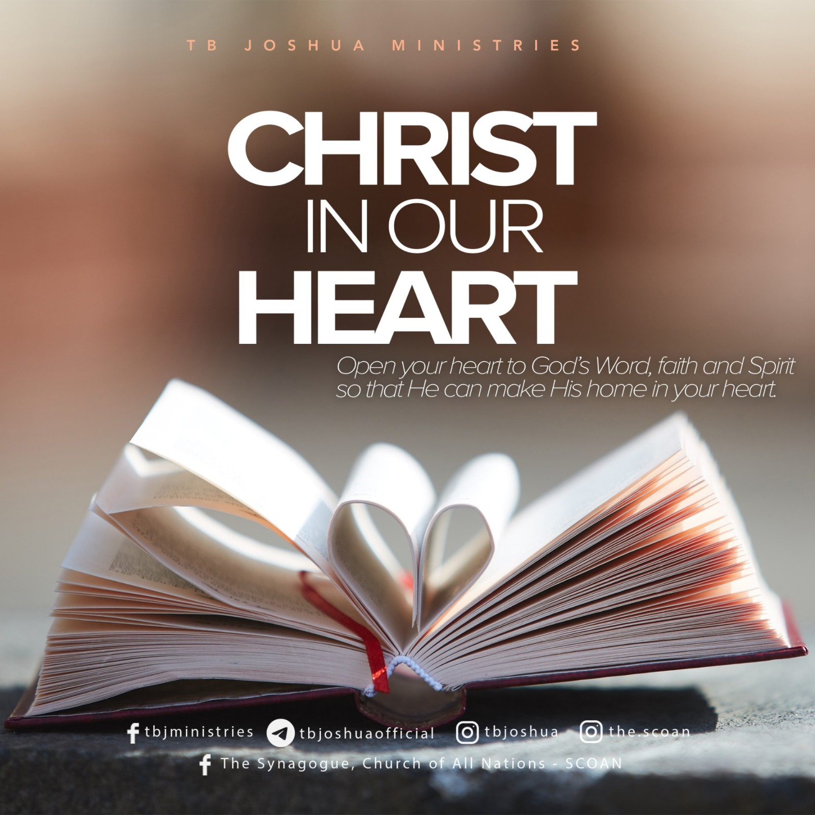 What is the Holy Bible?