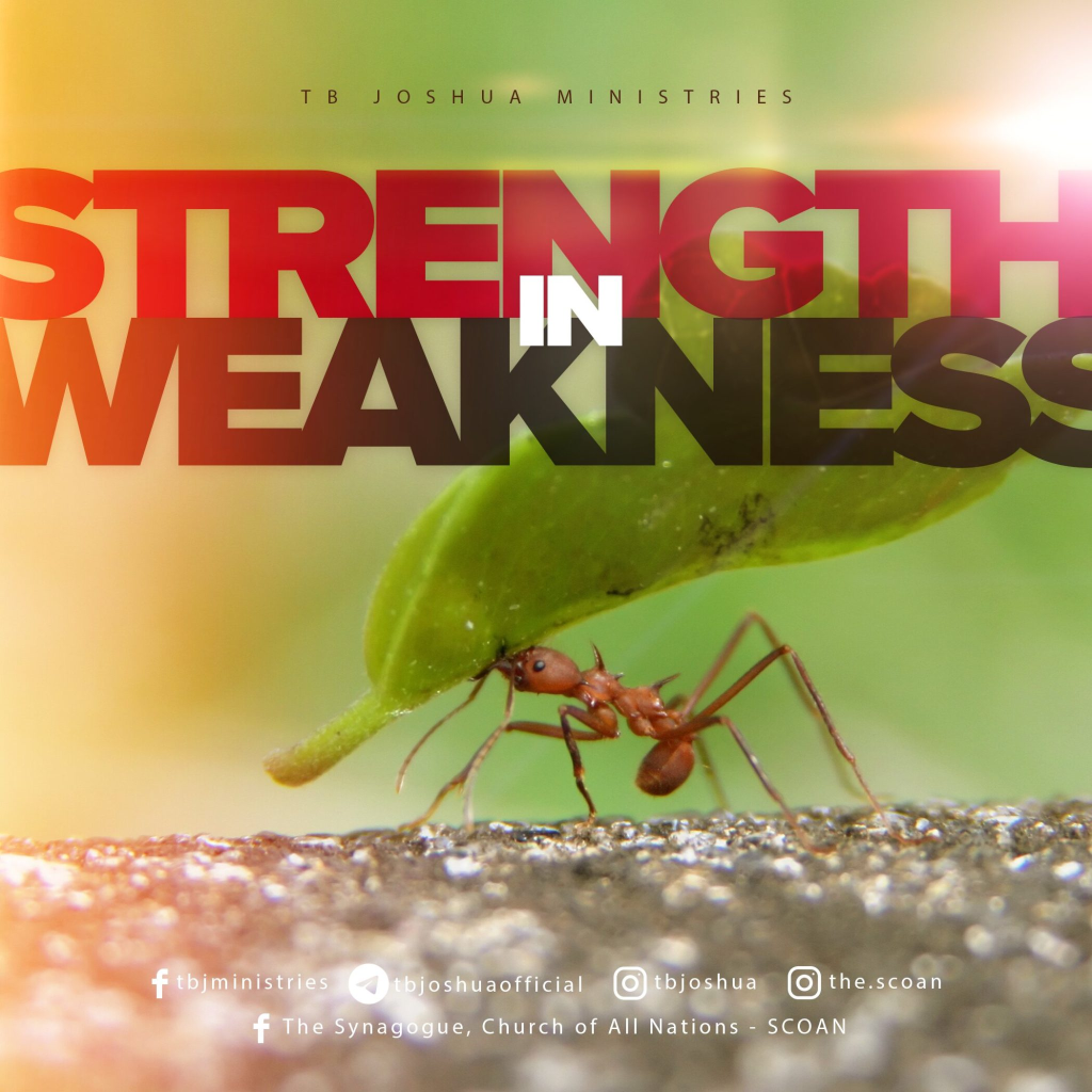 How to Know Your Weaknesses and Grow as a Christian